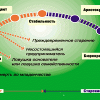 Четвертый этап развития компании – Юность