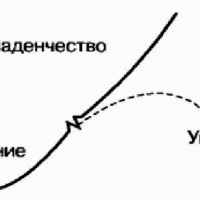 Второй этап развития компании по Адизесу – Младенчество