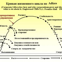 Первый этап развития компании по Адизесу – Выхаживание